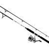 Daiwa D-Wave DWB Saltwater Spinning Combos -Daiwa daiwa d wave dwb saltwater spinning combos 26363.1651075331.386.513