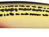 Daiwa Salt Pro Minnow - 5-1/8in Floating - SOS Yellow -Daiwa daiwa dspm13f82 salt pro minnow 47630.1651247750.386.513