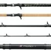 Daiwa Prorex Muskie Rods -Daiwa daiwa prorex muskie rods 61837.1651267189