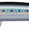 Daiwa Salt Pro Minnow Bullet 1 Daiwa Salt Pro Minnow Bullet -Daiwa daiwa salt pro minnow bullet 32084.1651257307
