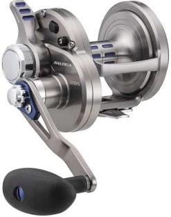 Daiwa 15 Daiwa -Daiwa daiwa saltiga ld lever drag conventional reels 63182.1651356964