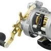 Daiwa Saltist Levelwind A Reels -Daiwa daiwa saltist levelwind a reels 55810.1650807938