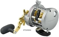 Daiwa Saltist Levelwind A Reels -Daiwa daiwa saltist levelwind a reels 78666.1650807939