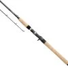 Daiwa Saltist Northeast Inshore Casting Rods -Daiwa daiwa saltist northeast inshore casting rod 86297.1650807941.386.513