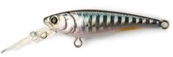 Daiwa SC Shad Jerkbait 12 Daiwa SC Shad Jerkbait -Daiwa daiwa sc shad jerkbait 48587.1651361458